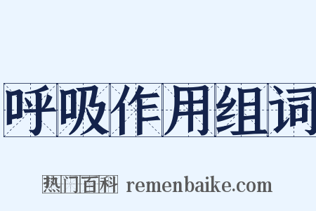 呼吸作用组词是什么意思的图片